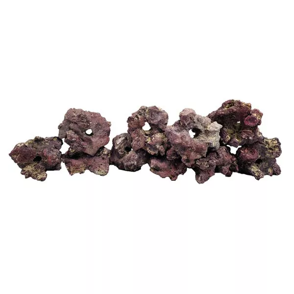 liferock-fraggerz-10-pack-caribsea LifeRock Fraggerz - 10 Pack - Caribsea