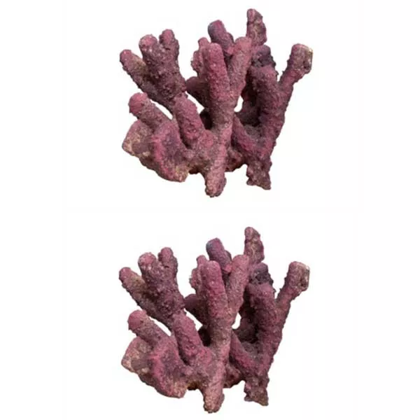 LifeRock Ultimate Branch Clusters (2 Pack) - Caribsea