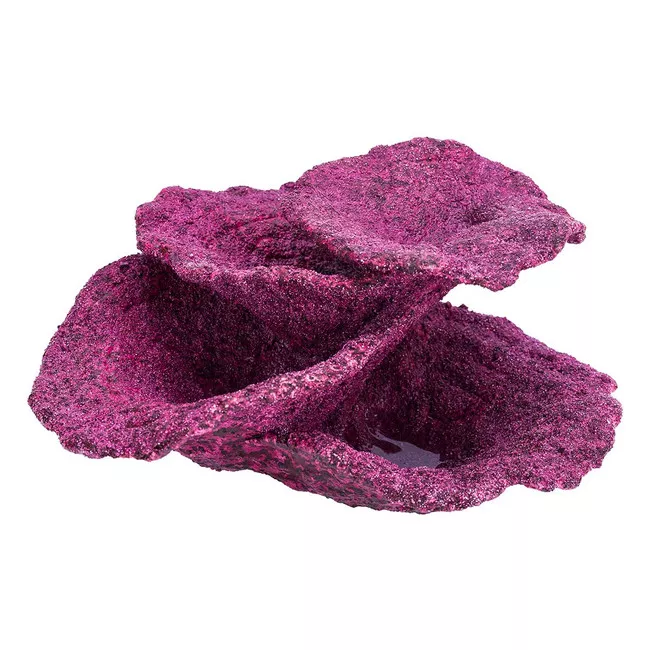 small-mini-real-reef-turbinaria-cup-plate-coral-rock-1-piece-real-reef (SMALL) Mini Real Reef Turbinaria Cup Plate Coral Rock (1 piece) - Real Reef