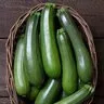 zucchini-stardust-vegetable-seed-1-8-oz-packet Zucchini Stardust Vegetable Seed 1/8 oz. Packet